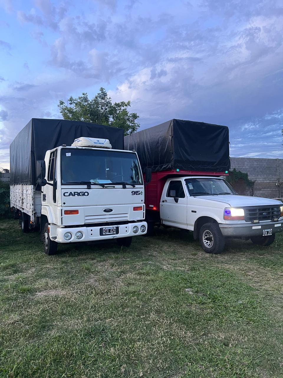 Flota de camiones Ford Cargo y utilitarios F-100 de Estela Logística & Mudanzas